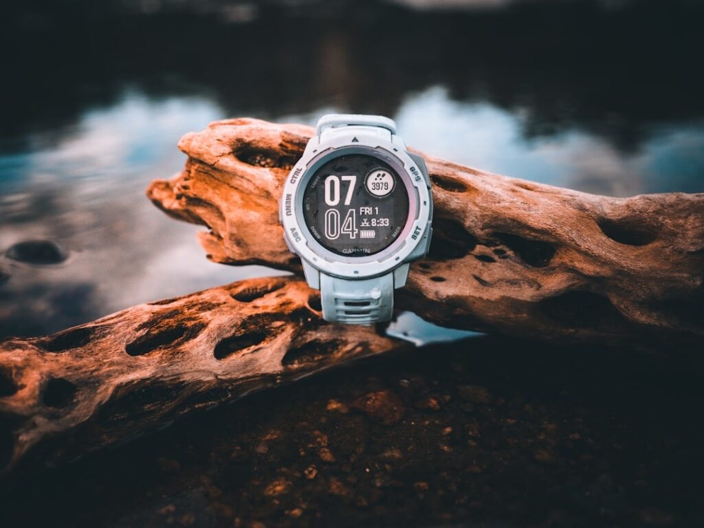 Garmin Fenix